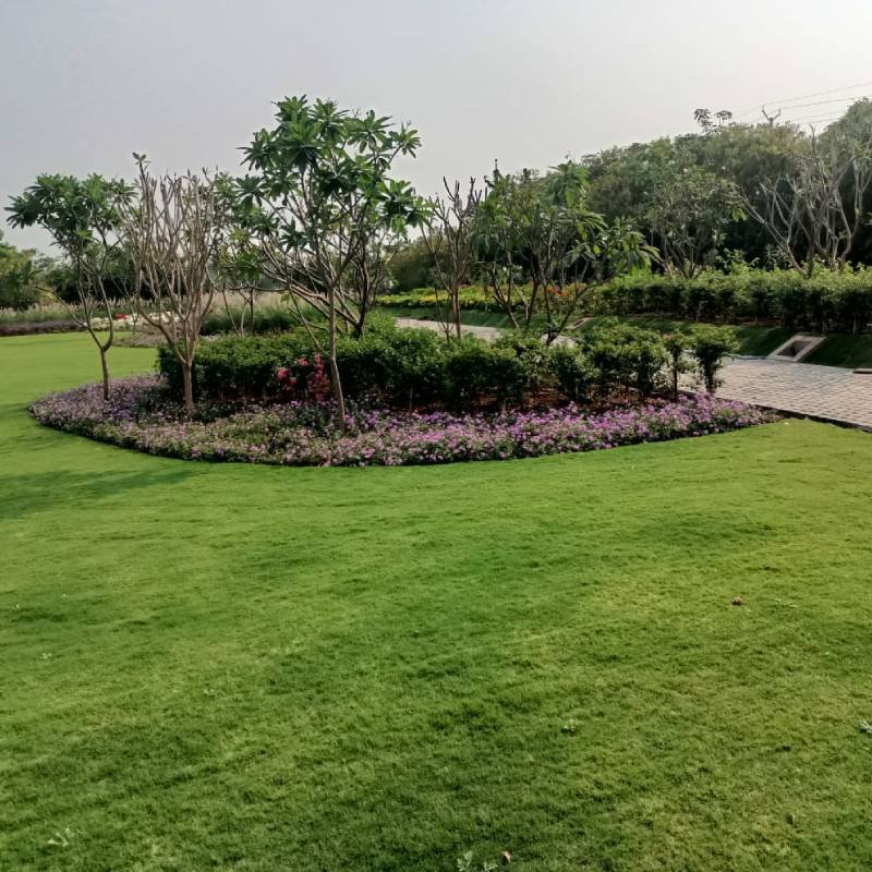 baramati-project (4)